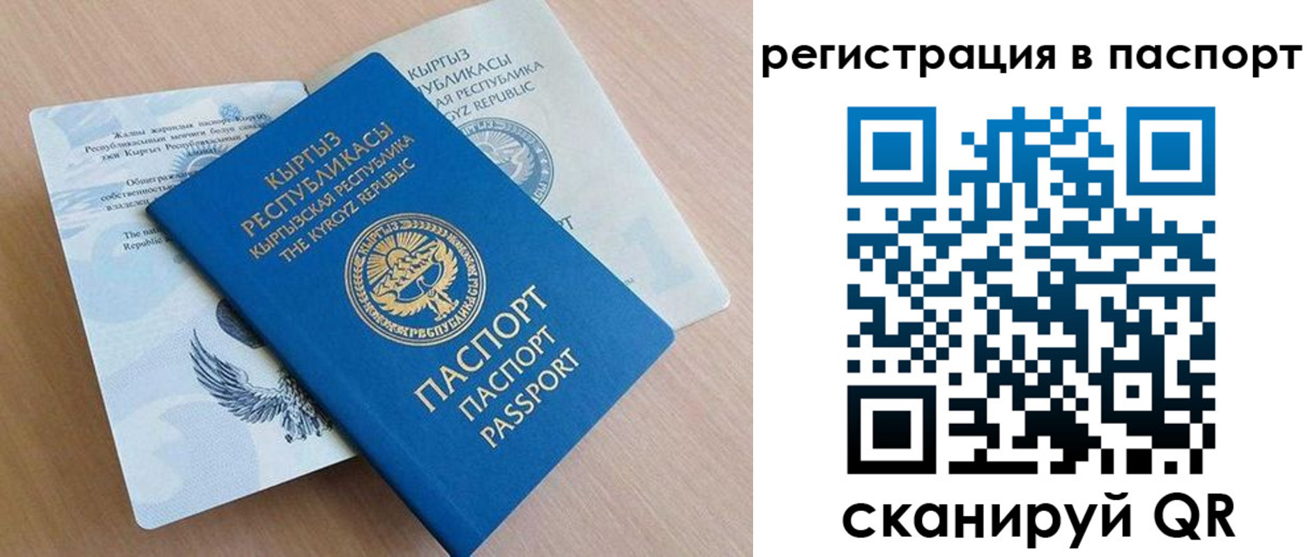 прописка законно в Светлом